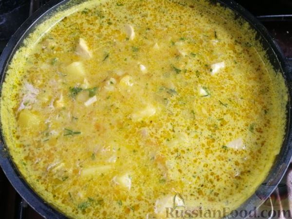 Куриный суп с тыквой, плавленым сыром и рисом